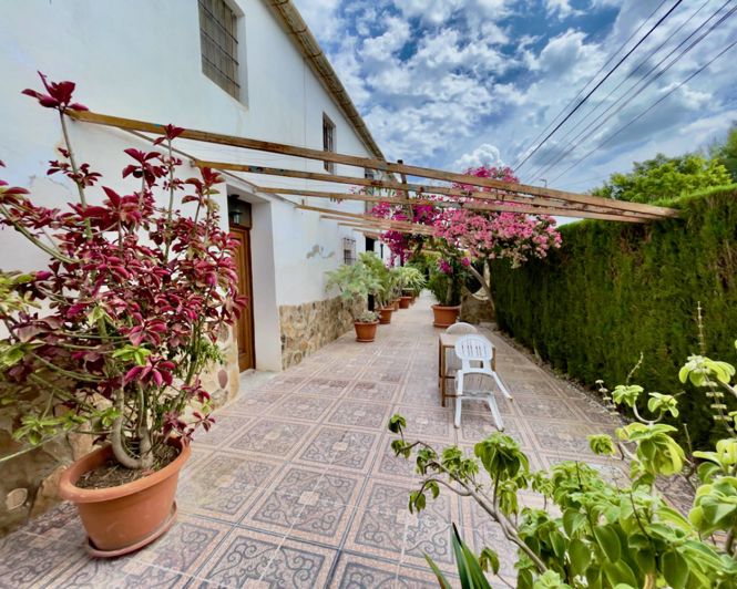 Image No.40-Propriété de 8 chambres à vendre à Orihuela