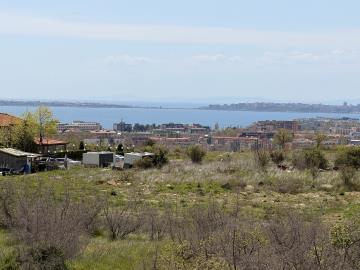 IMG_8650