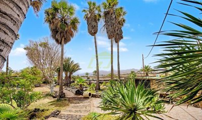 Traditional Canarian home with spacious gardens and versatile living spaces