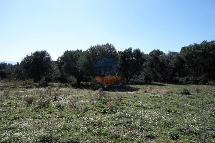 Image No.11-Land for sale