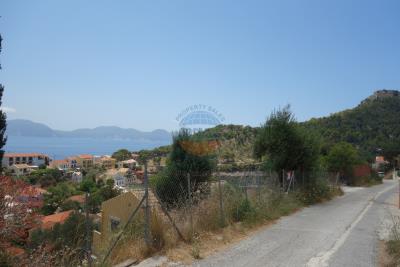 DSC07010------------_marked