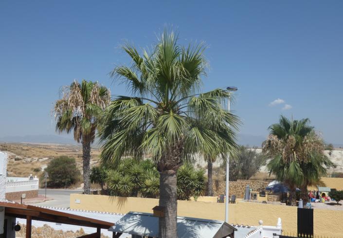 Image No.41-3 Bed Villa / Detached for sale