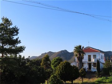 1 - Castelo Branco, Property