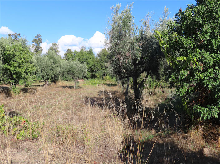 Image No.36-Property for sale