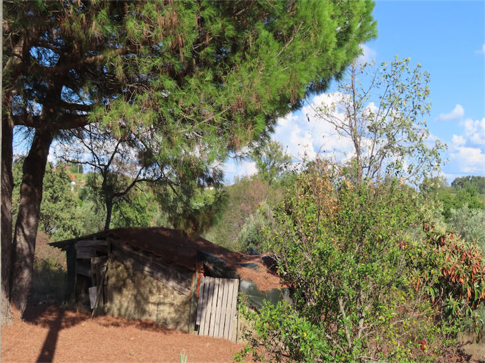 Image No.6-Property for sale