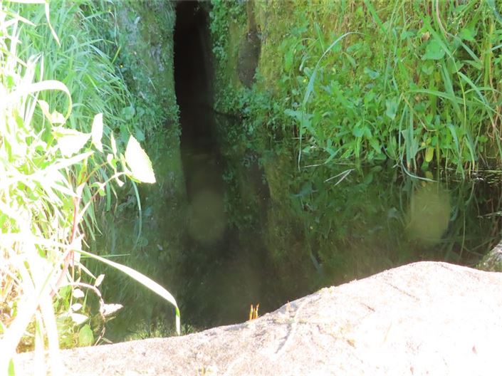 Image No.4-Propriété à vendre