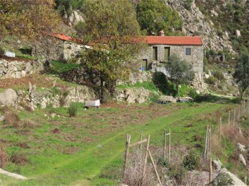 1 - Castelo Branco, Property