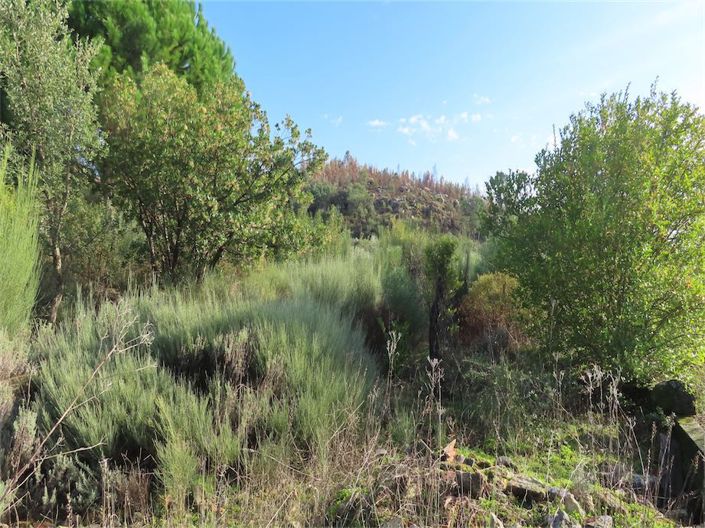 Image No.15-Property for sale