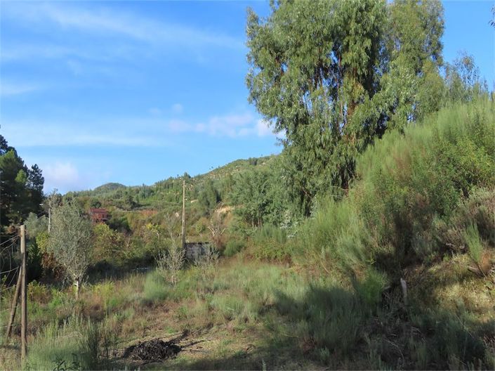 Image No.2-Property for sale
