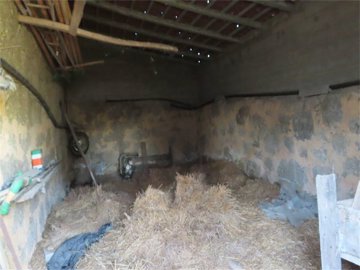 img7835