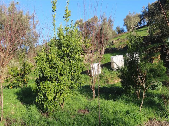 Image No.38-3 Bed Property for sale
