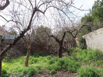 img0344