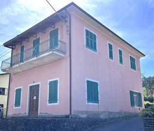 img16509