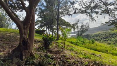 atlantic-park-lot-58-st-joseph-panoramic