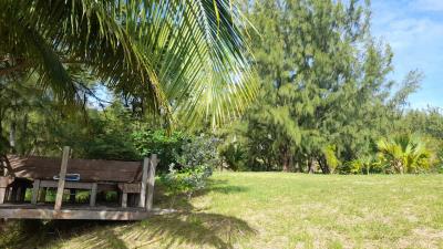 atlantic-park-lot-58-st-joseph-bench-lawn