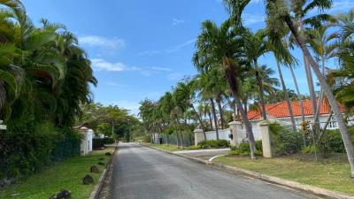 sle-magnolia-harbin-alleyne-rd-1
