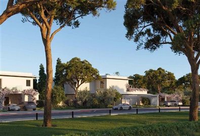 street-view