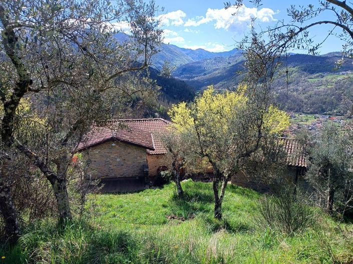 Image No.16-6 Bed Country House for sale