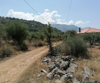 img20230628120507