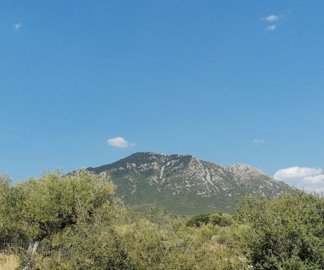 img20240717175111