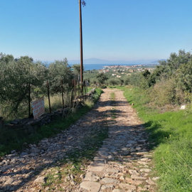 img20251210130029