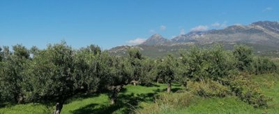 img20251210125526
