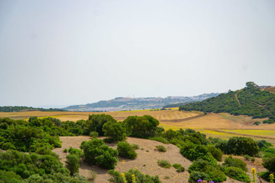dsc0334-2
