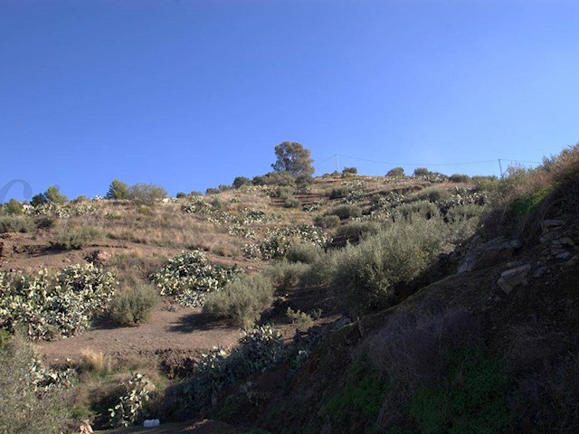 Image No.4-Finca de 1 chambre à vendre à Torrox