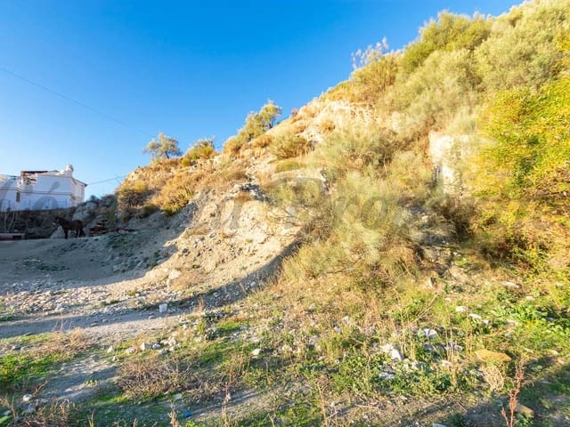 Image No.3-Terre à vendre à Cómpeta