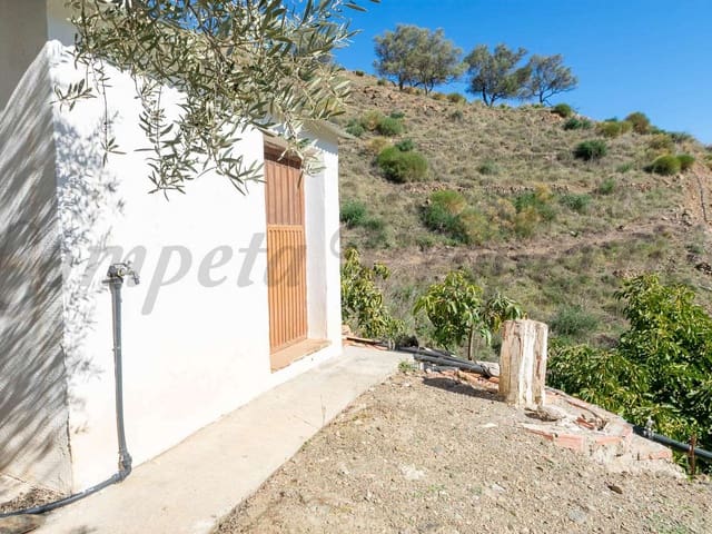 Image No.8-Finca de 3 chambres à vendre à Cómpeta