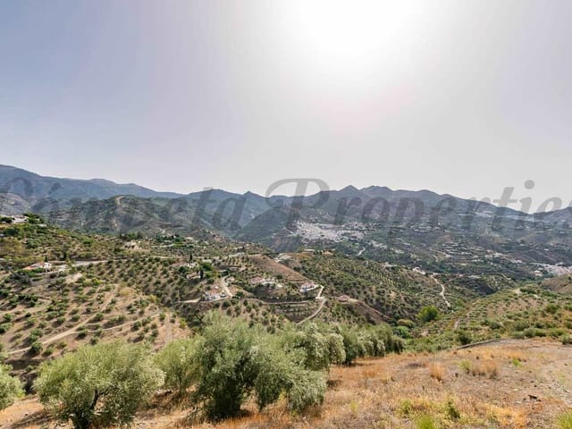 Image No.7-Terre à vendre à Canillas de Albaida