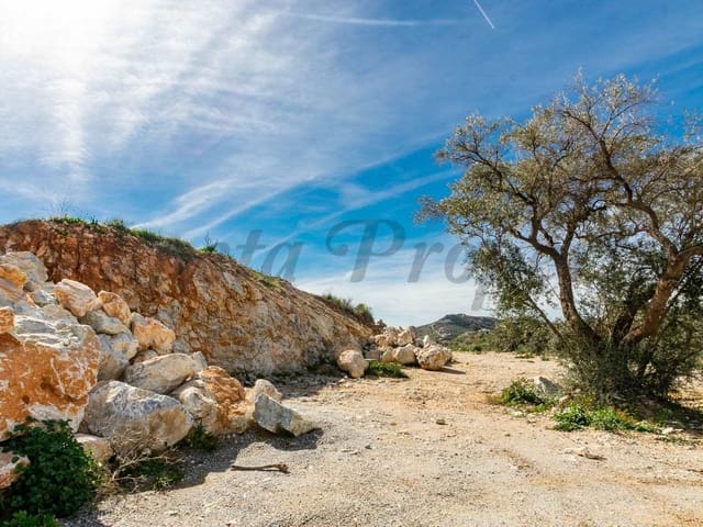 Image No.3-Terre à vendre à Canillas de Albaida
