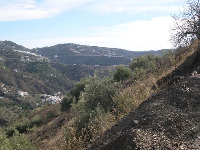 Image No.3-Terre à vendre à Canillas de Albaida