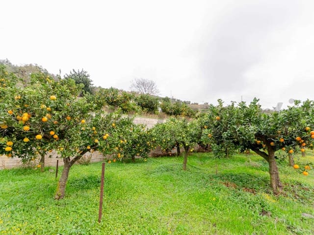 Image No.12-Finca à vendre à Corumbela