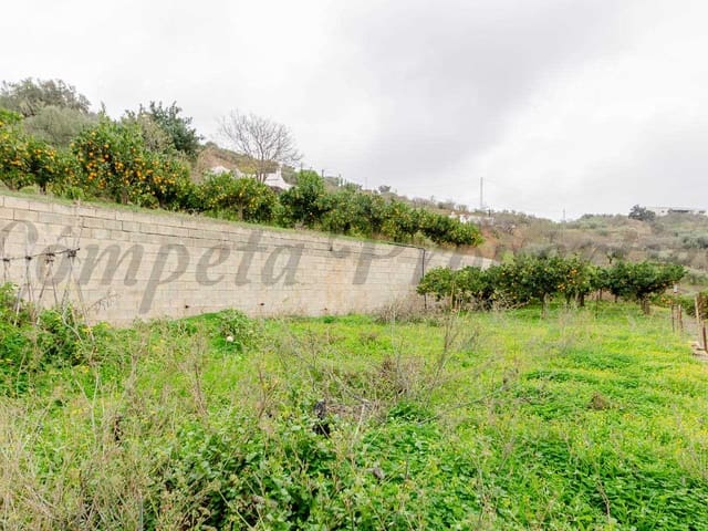 Image No.8-Finca à vendre à Corumbela