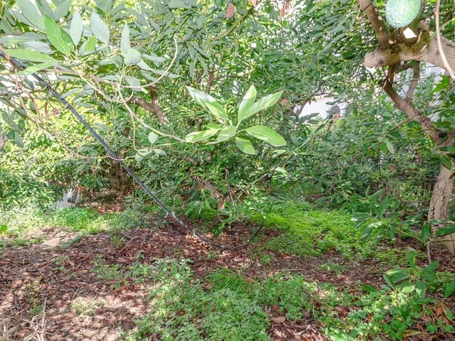 Image No.4-Land for sale