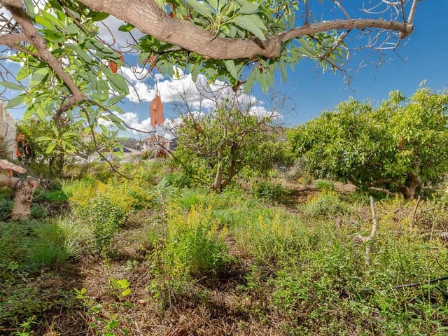 Image No.5-Land for sale