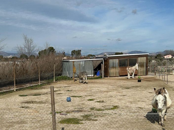 Image No.11-5 Bed Villa for sale