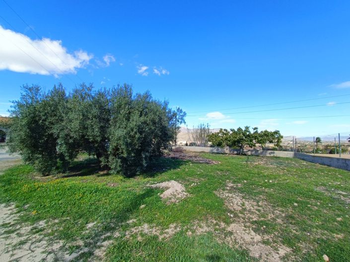 Image No.32-4 Bed Villa for sale