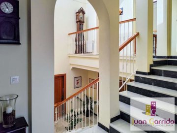 property261393481