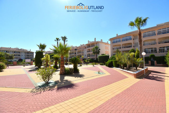Image No.2-Appartement de 3 chambres à vendre à Playa Flamenca