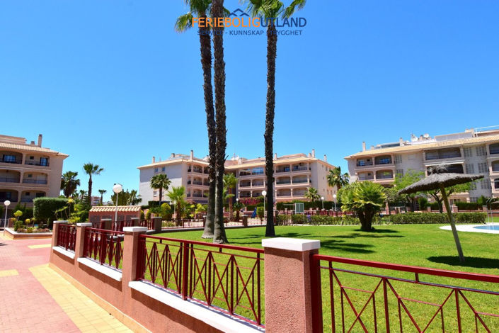 Image No.20-Appartement de 3 chambres à vendre à Playa Flamenca