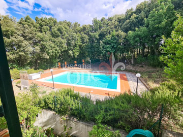 casa -5.jpg