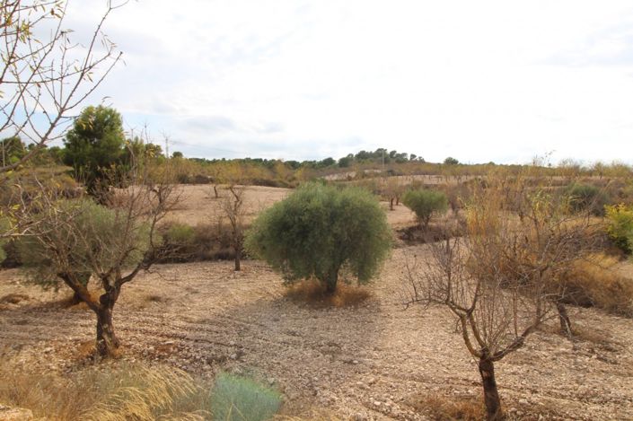 Image No.2-Plot for sale