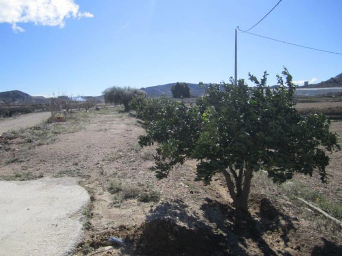 Image No.26-6 Bed Country House for sale