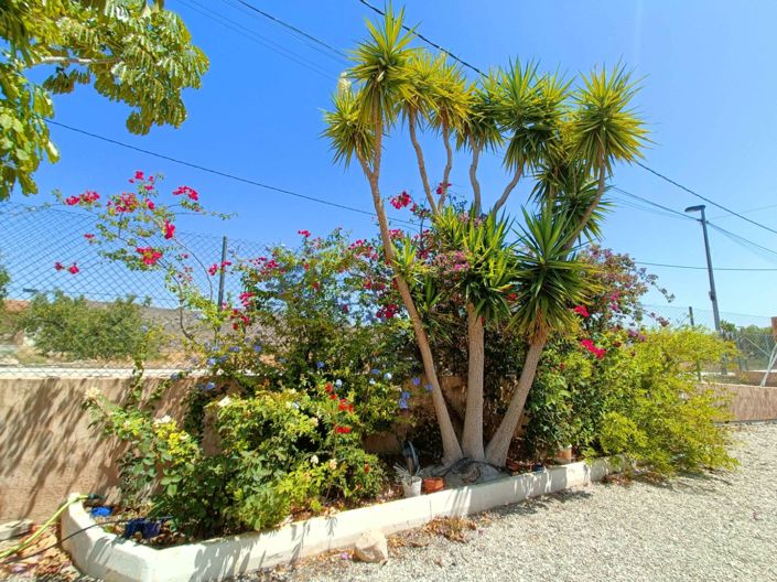 Image No.43-5 Bed Country House for sale