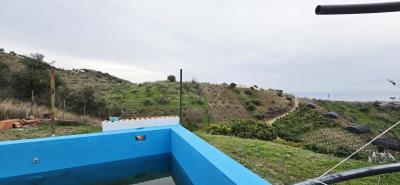 For-sale-Rustic-house-with-Mango-Plot---BluCee-Real-Estate--7-