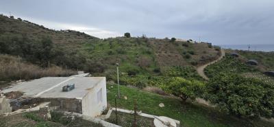 For-sale-Rustic-house-with-Mango-Plot---BluCee-Real-Estate--10-