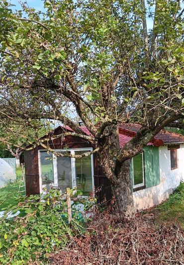 Image No.4-4 Bed House for sale
