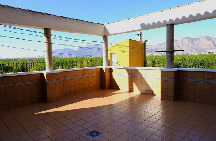 Image No.7-Finca de 5 chambres à vendre à Orihuela